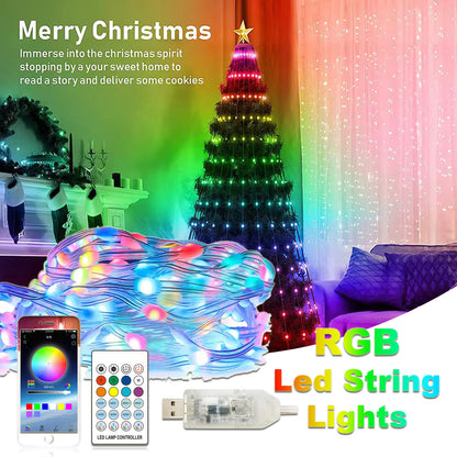 Remote Control Christmas LED lighting