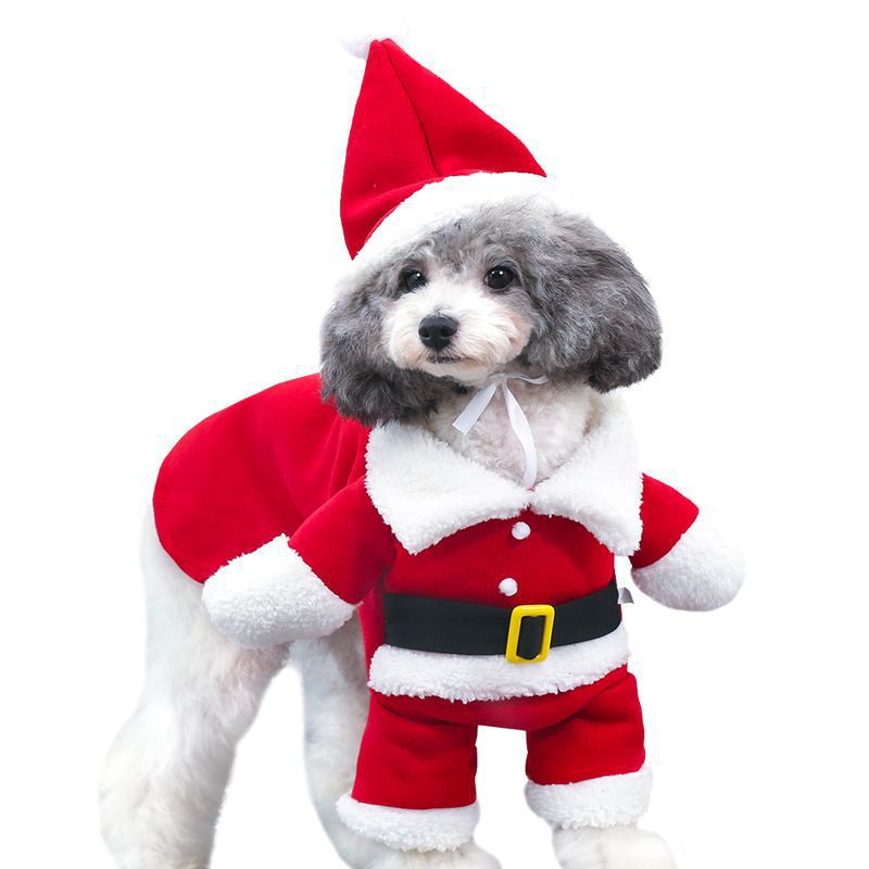 Holiday Pet Costume