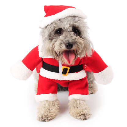 Holiday Pet Costume