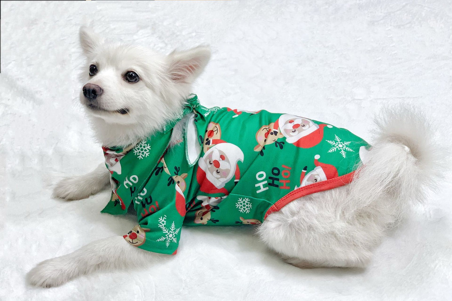 Matching Family Christmas Pajamas